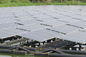 mono sistemi residenziali di energia solare dello stagno di pesce del pannello solare 320W 3,2 millimetri di vetro temperato spesso